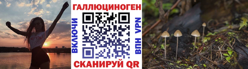 Галлюциногенные грибы GOLDEN TEACHER  Усолье 